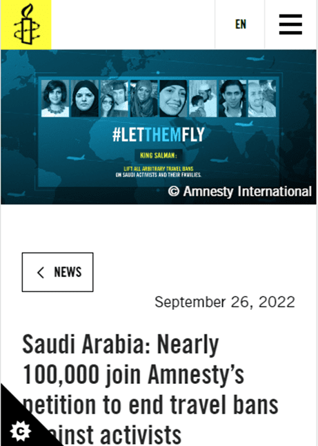 a screenshot of an image on Amnesty's website where someone has used an image with text on it, reading #LetThemFly.  This image is not accessible to people who use screen-readers to percieve web pages. 