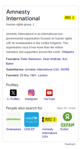 a knowledge panel serp feature with information about Amnesty International. It describes Amnesty as a human rights group, and has a paragraph from widipedia describing the organisation. It also lists Amnesty's founders, subsidiaries, when it was founded, a list of social  media profiles and a list of similar organisations. 
