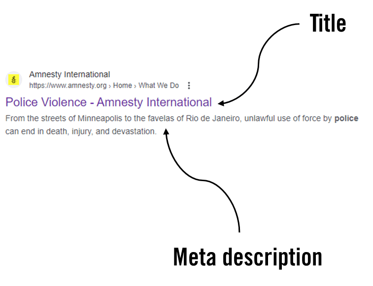A link to Amnesty's police violence page on a SERP. There are text and arrow pointing to the Title and Meta Description part of the search listing. 